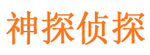 临泉市私家侦探